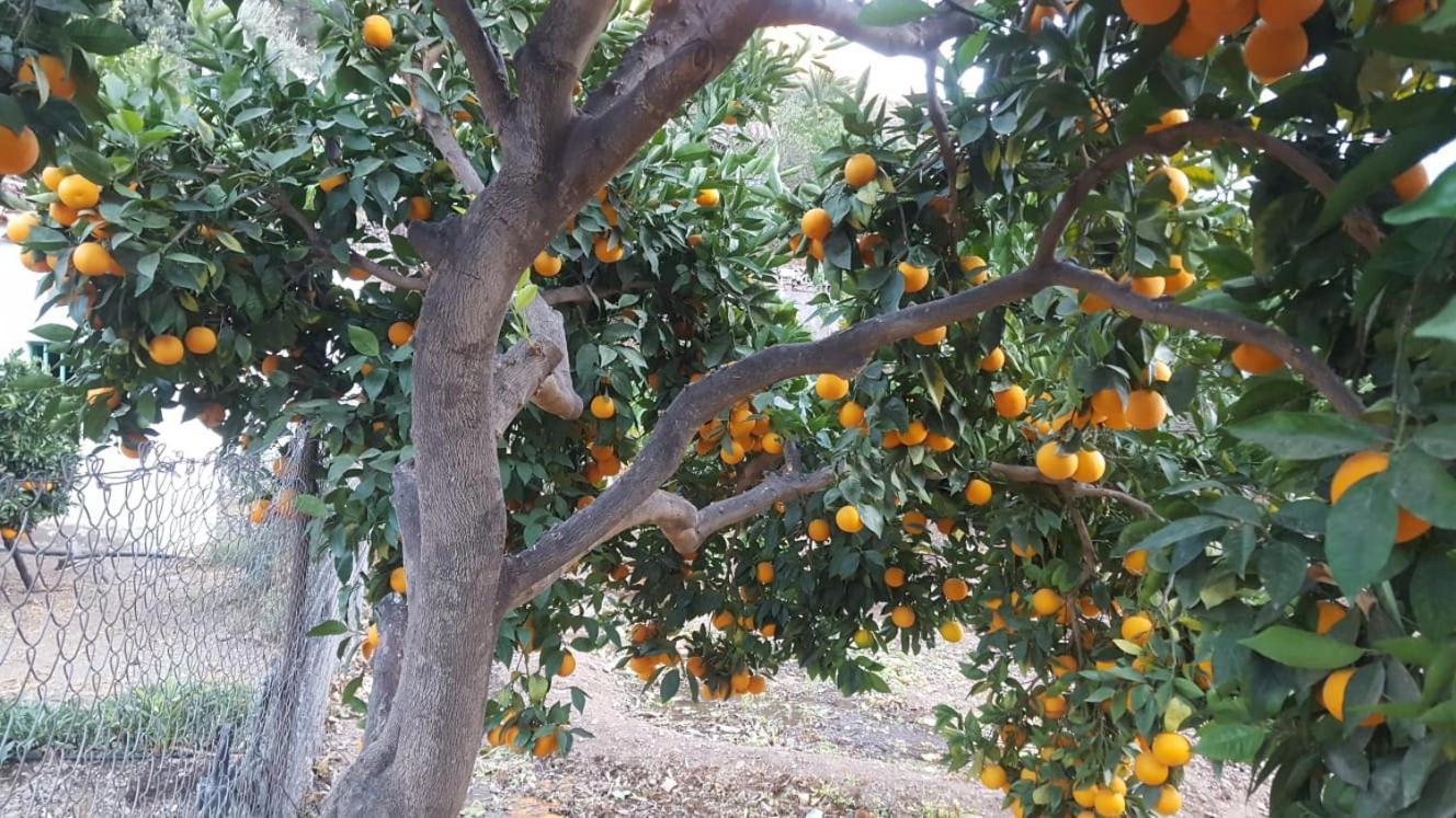 Appartamento Casa Reyes Fátaga Esterno foto
