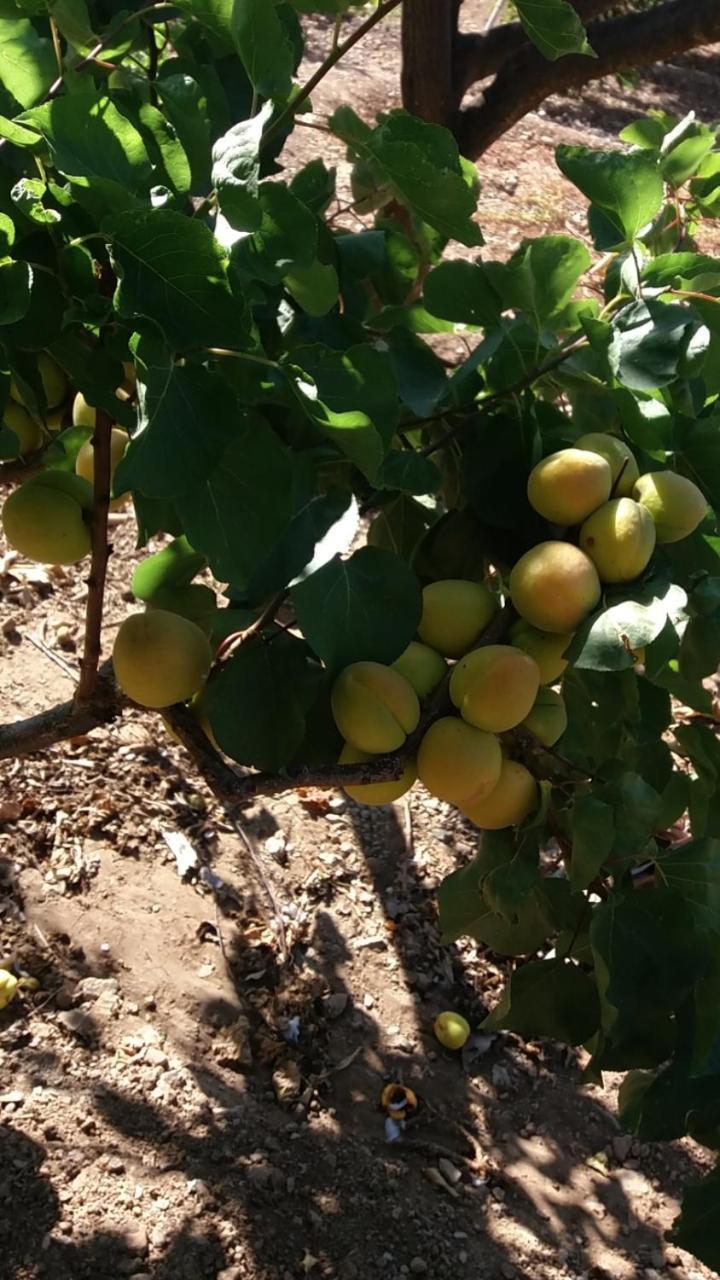 Appartamento Casa Reyes Fátaga Esterno foto