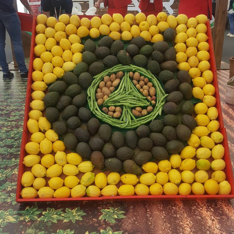 Appartamento Casa Reyes Fátaga Esterno foto